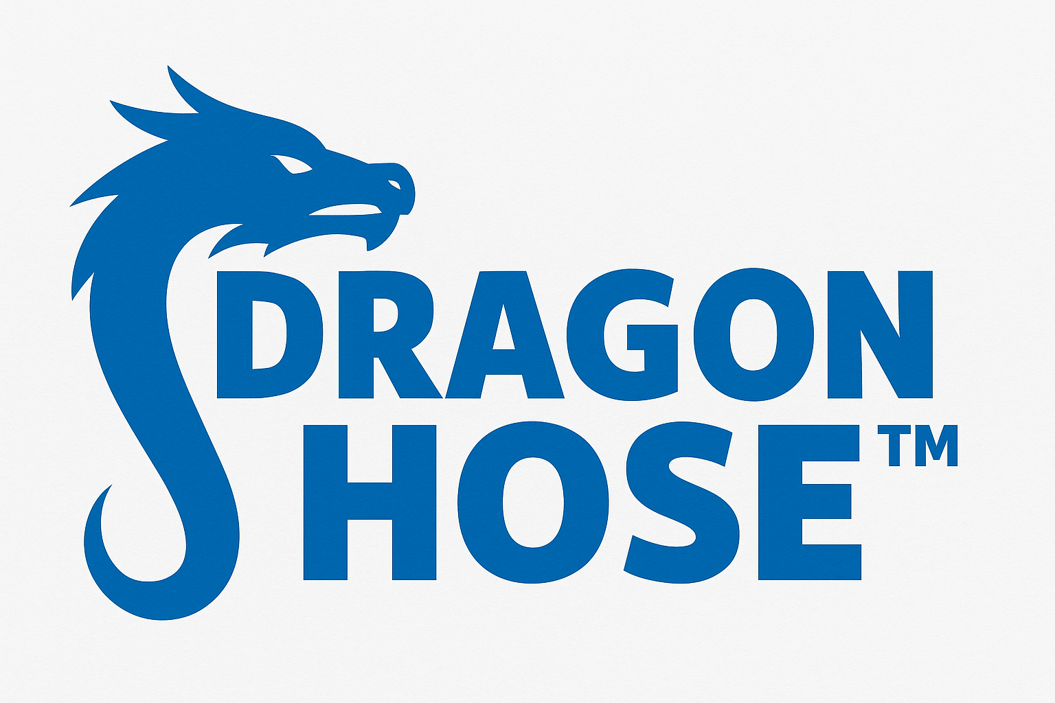 Dragon Hose Logo