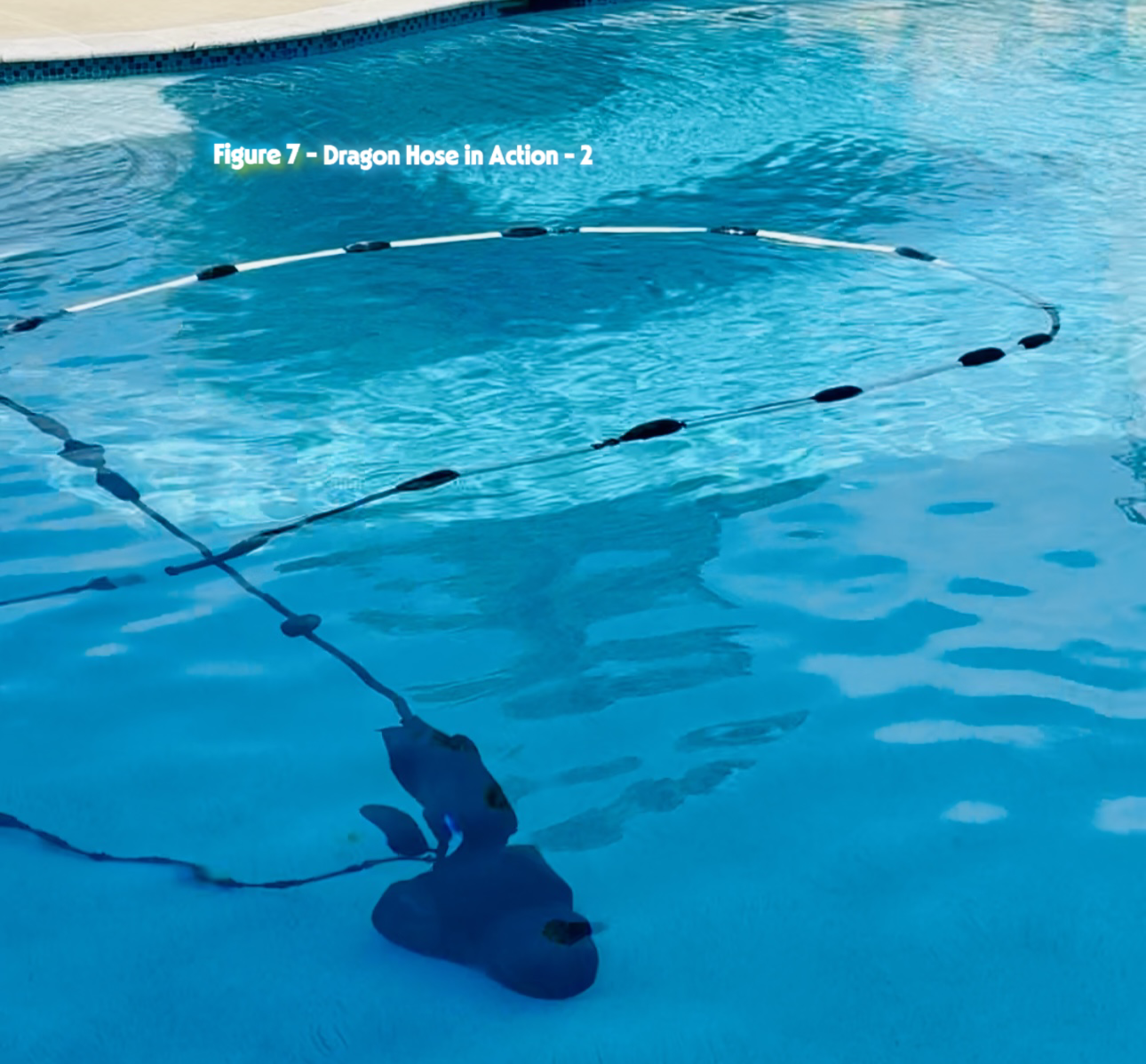 Dragon Hoseâ„¢ Pool Testing